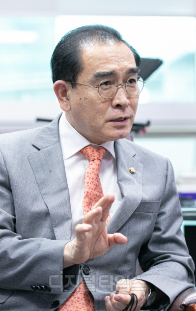 태영호 국민의힘 의원. 이슬기기자